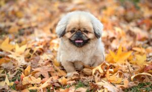 SNS副業でスキル向上を目指すための効果的な方法は？