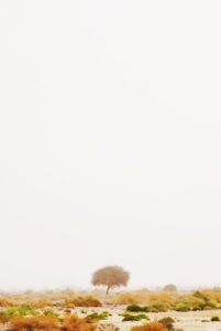 TikTok副業で月5万円を稼ぐための成功ポイントは？