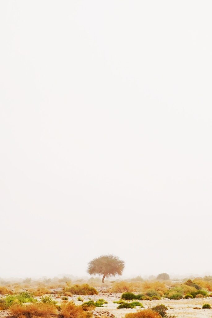 TikTok副業で月5万円を稼ぐための成功ポイントは？