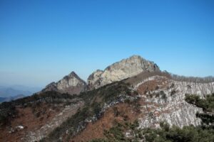 SNS副業におけるコンテンツ制作の成功法則は？