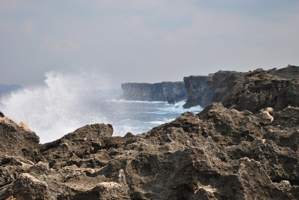 Xアカウントの作成方法は初心者でも簡単にできる？