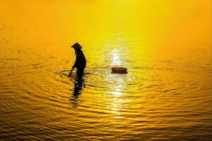 SNS代行の成功事例から学ぶ体験記とは？