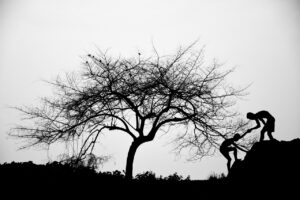 SNS広告の成功事例から学ぶ効果的な戦略とは？