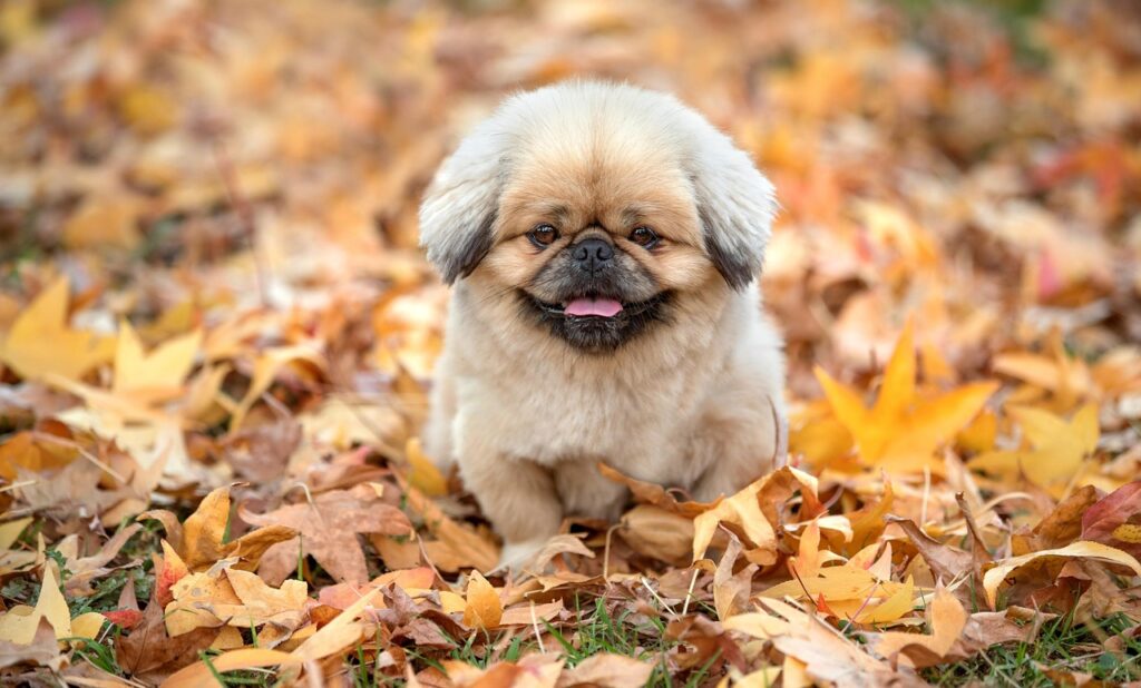 SNS代行とはどのようなサービスで、どんなメリットがあるのか？