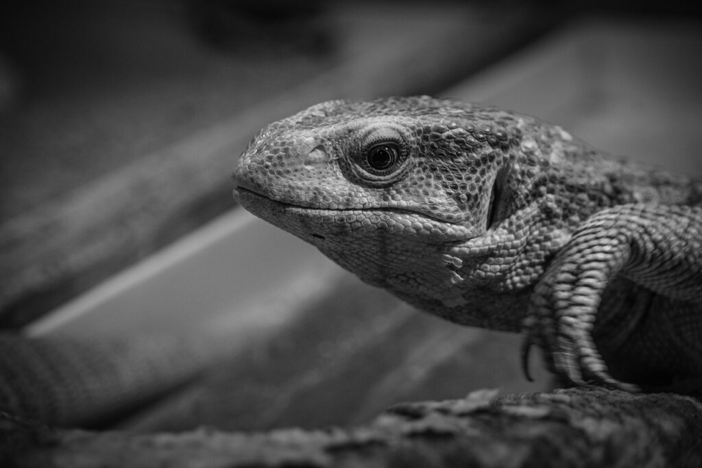 SNS運用を委託する際の重要なポイントは？