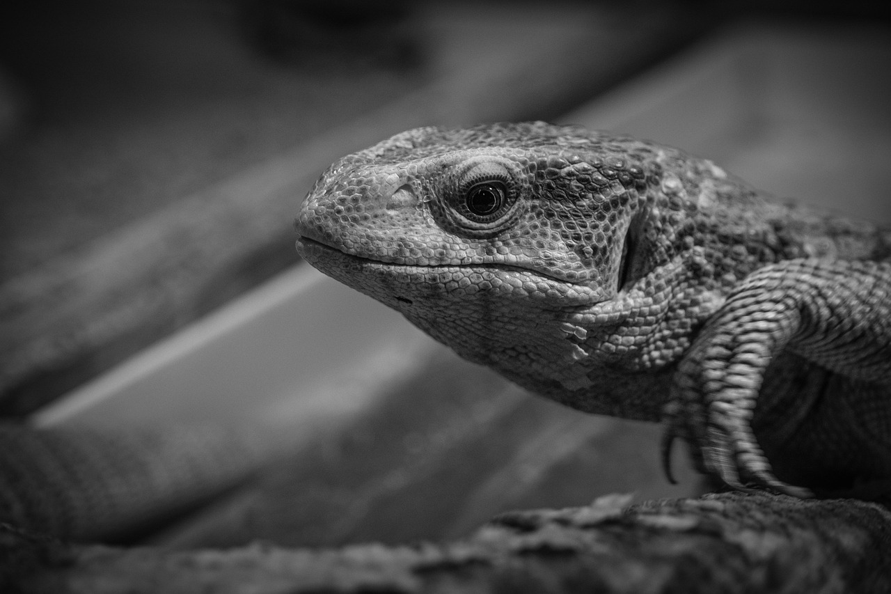 SNS運用を委託する際の重要なポイントは？