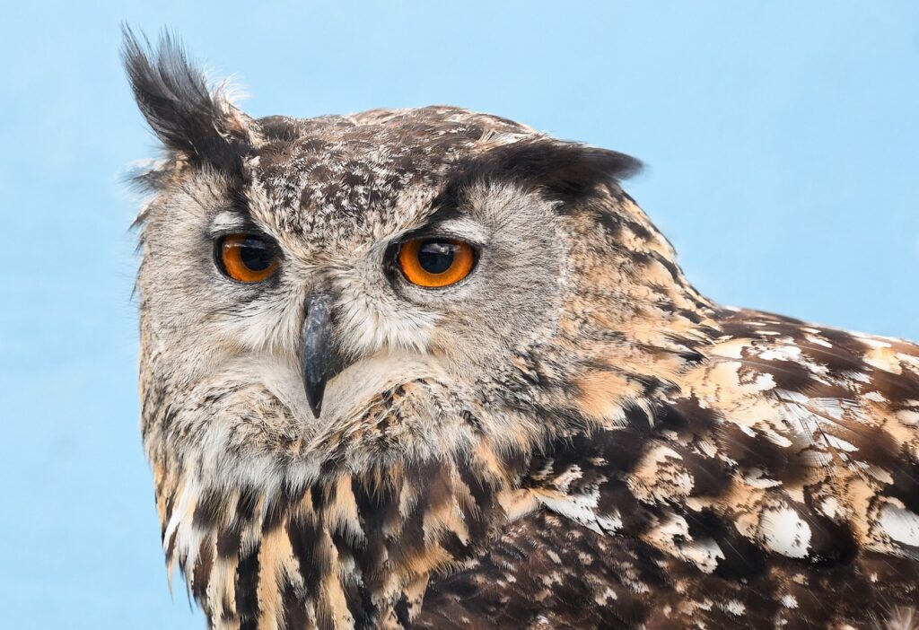 SNS代行による投稿作成のメリットとは？