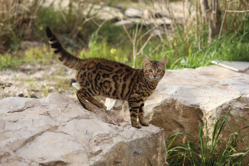 SNS代行講座で失敗しないためのポイントは？