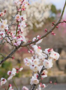 BtoB SNS運用で成功するためのポイントは？