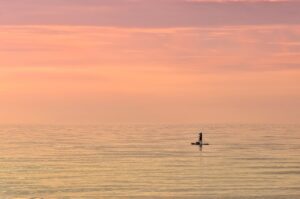 SNS代行の最新トレンドとは何か？