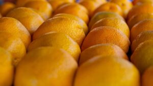 オーガニック集客を成功させるための効果的な戦略は？