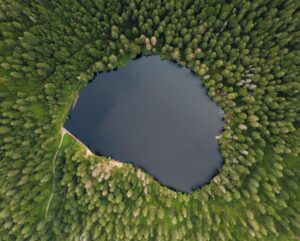 売上爆伸びを狙うSNS代行の成功事例まとめは？