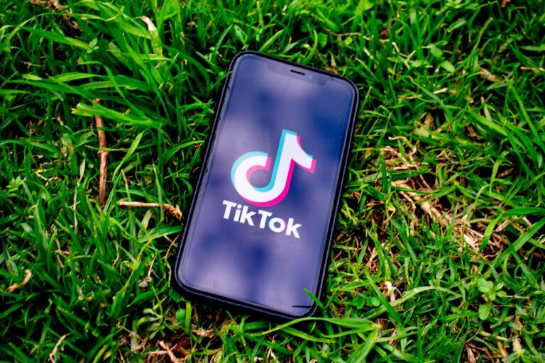 tiktokのフォロワー分析はどうやって行うべき？